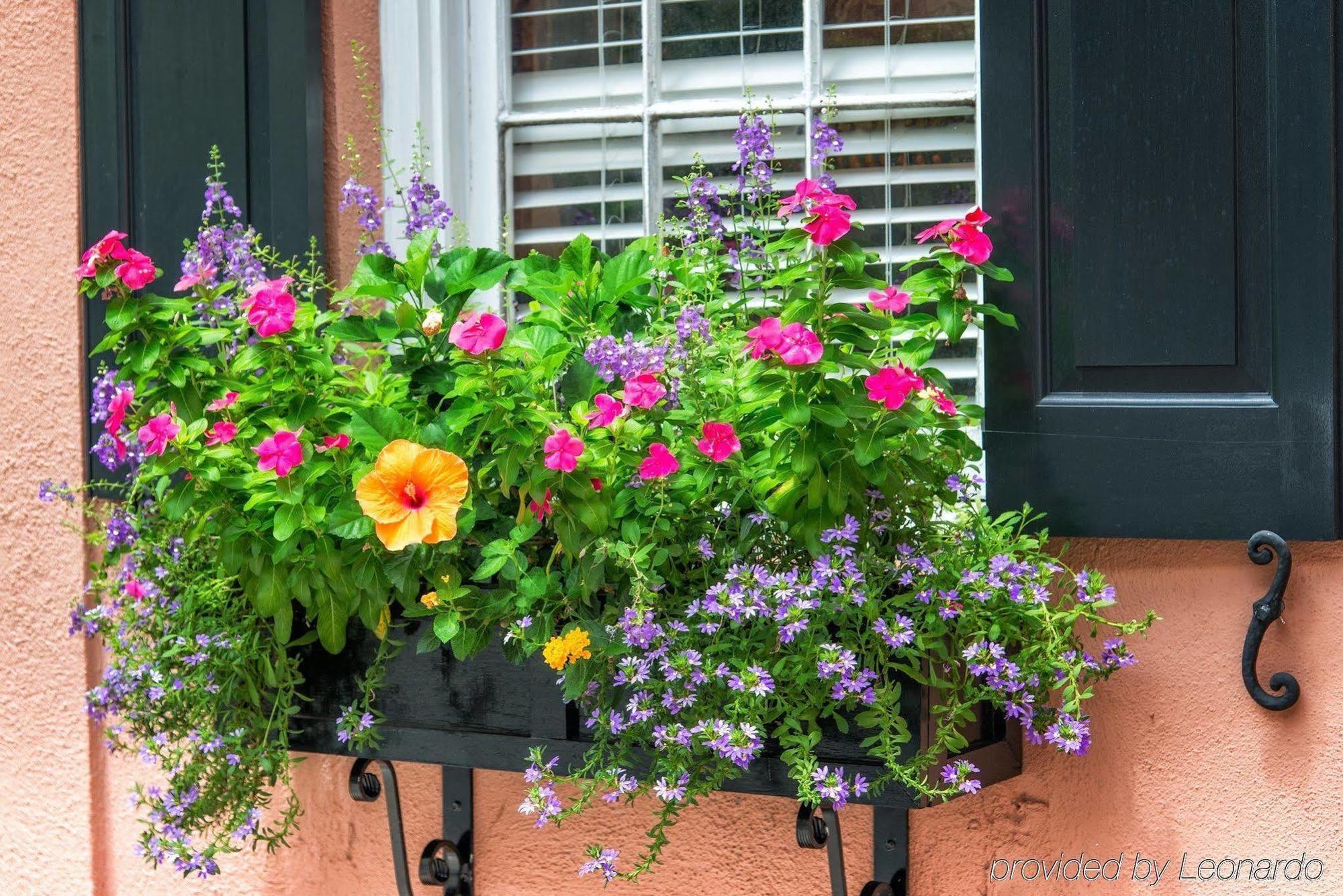The Elliott House Inn Charleston Kültér fotó